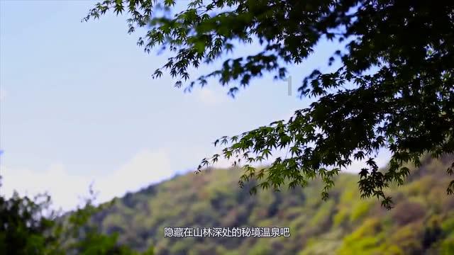 嘉日单词